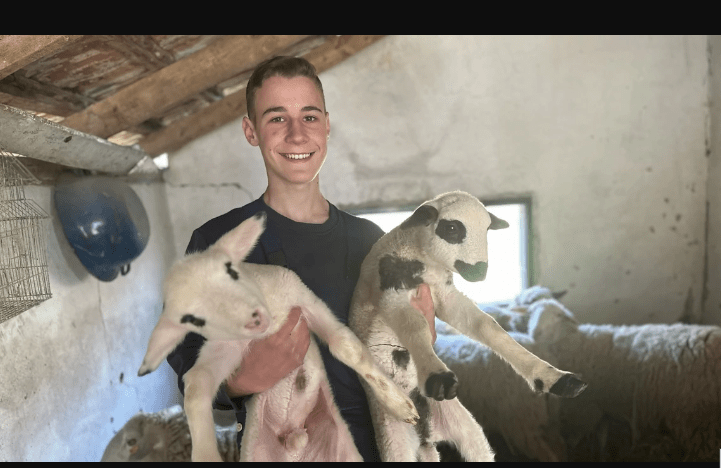On je najmlađi farmer u Srbiji: Zoran iz Ježevice ima samo 16 godina ali je dečak za primer: Sam kupio svoje životinje i brine o njima, a vreme na internetu provodi samo kad je crveno slovo